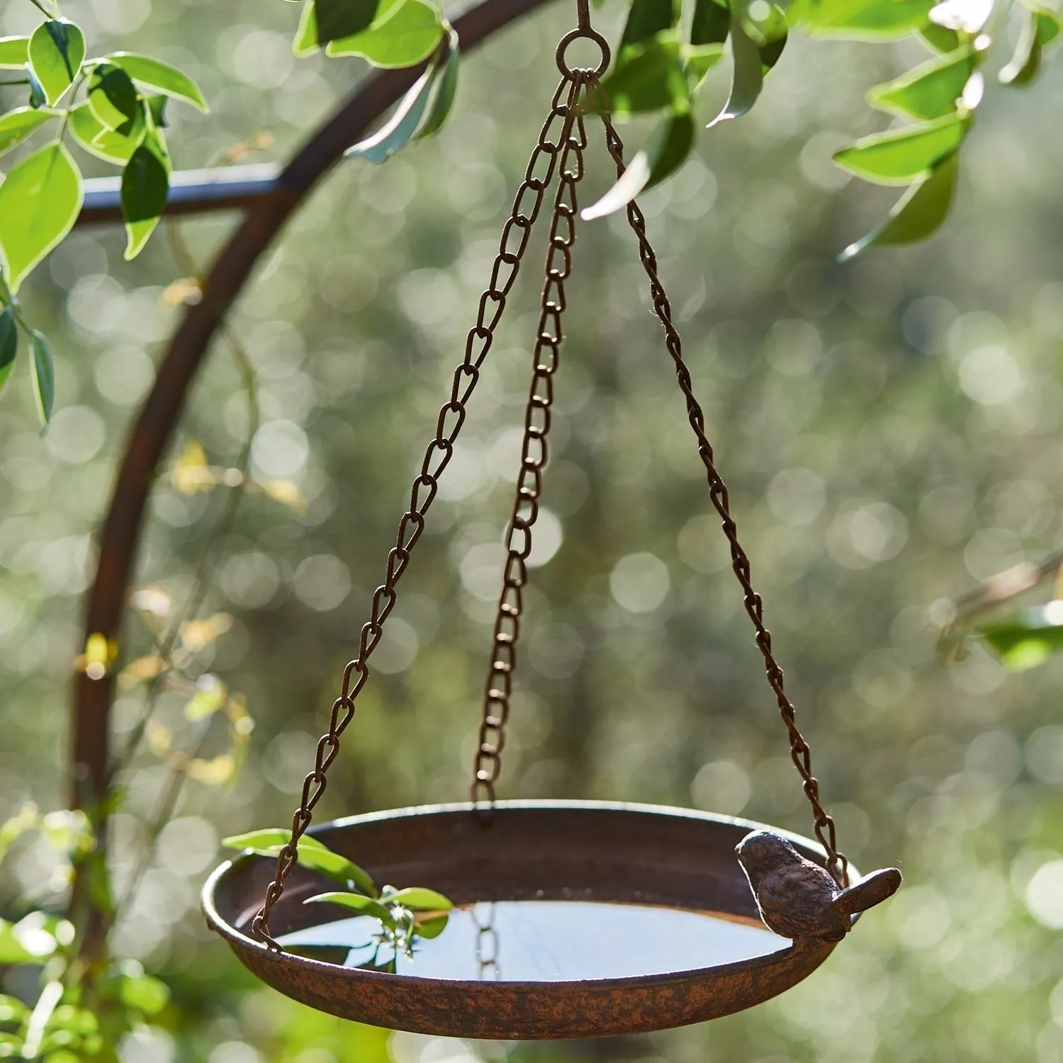 Vogeltränke Britta – Bild 5