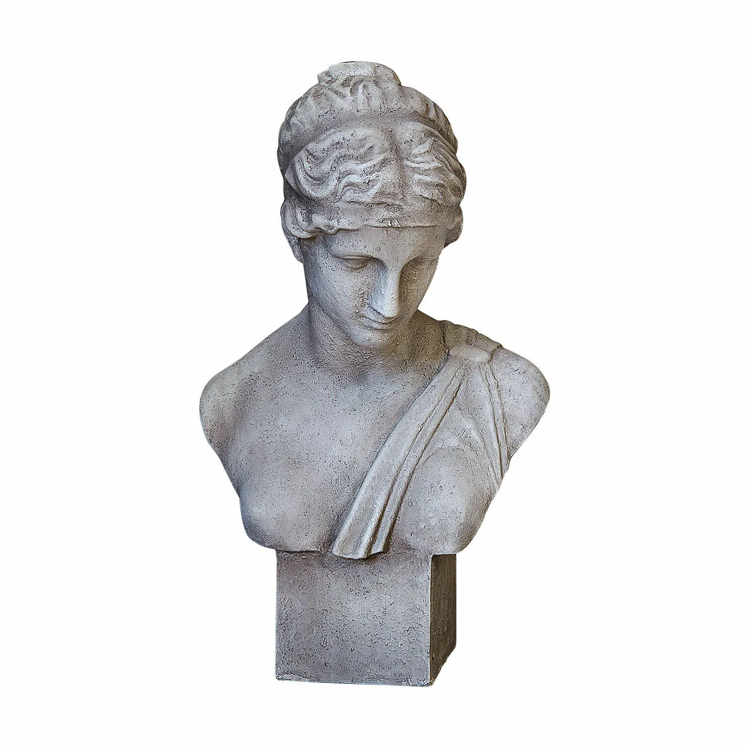 Büste Castolio – Bild 3