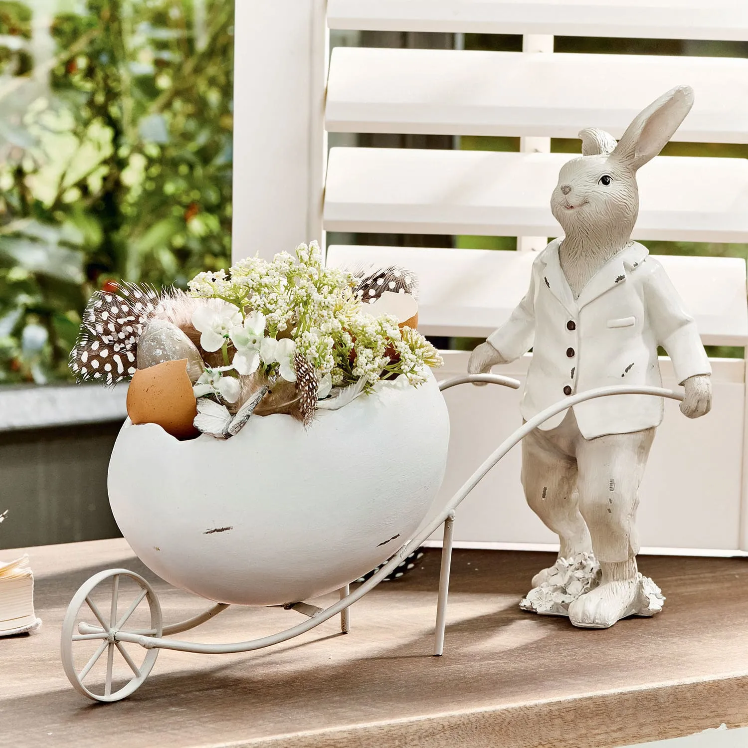 Hase Jaris – Bild 4