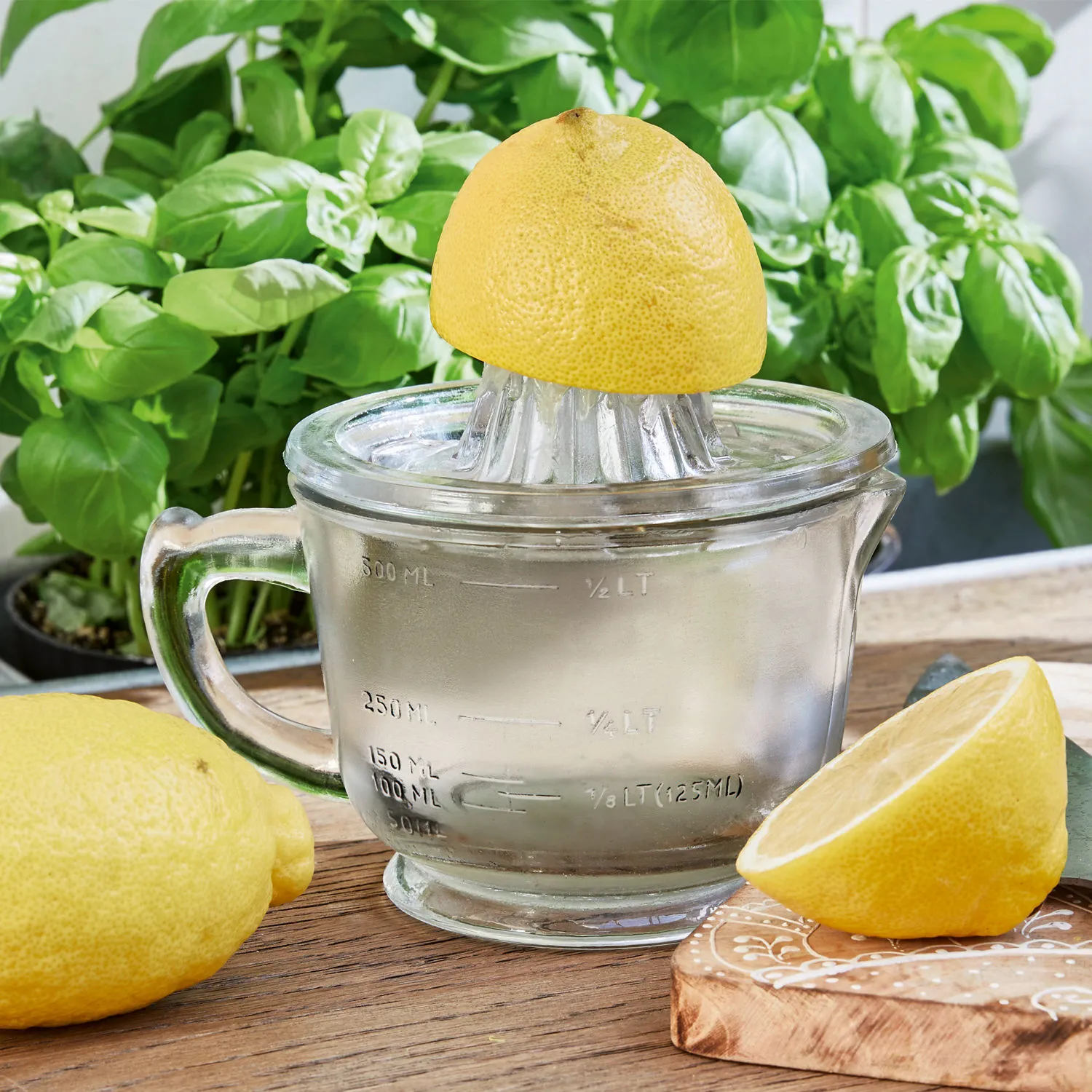 Zitronenpresse Cindy Zitronenpresse Cindy