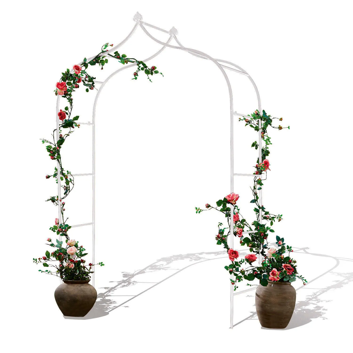 Rosenbogen Dimarus – Bild 3