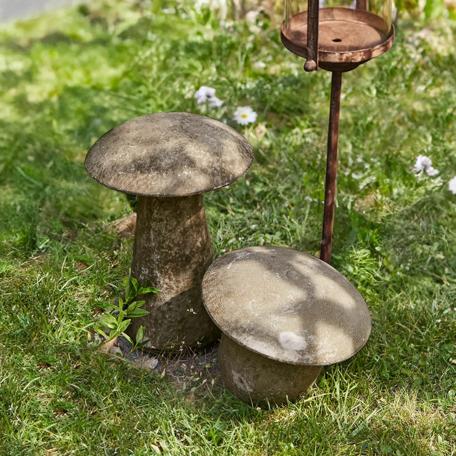 Deko-Pilz 2er Set Coudrelle – Bild 4