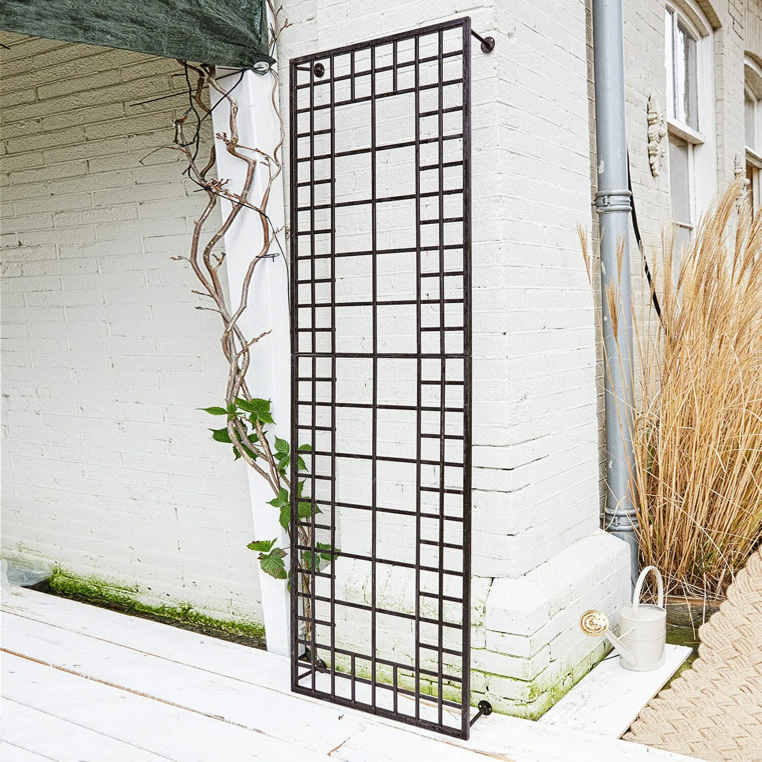 Rankgitter Sulfolk – Bild 4