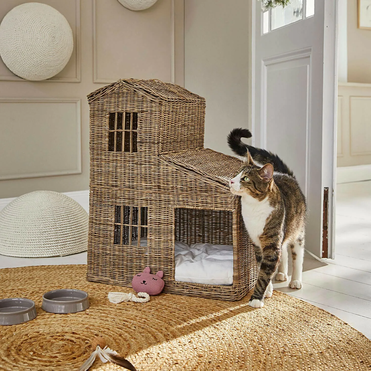 Katzenhaus Ravnda – Bild 5