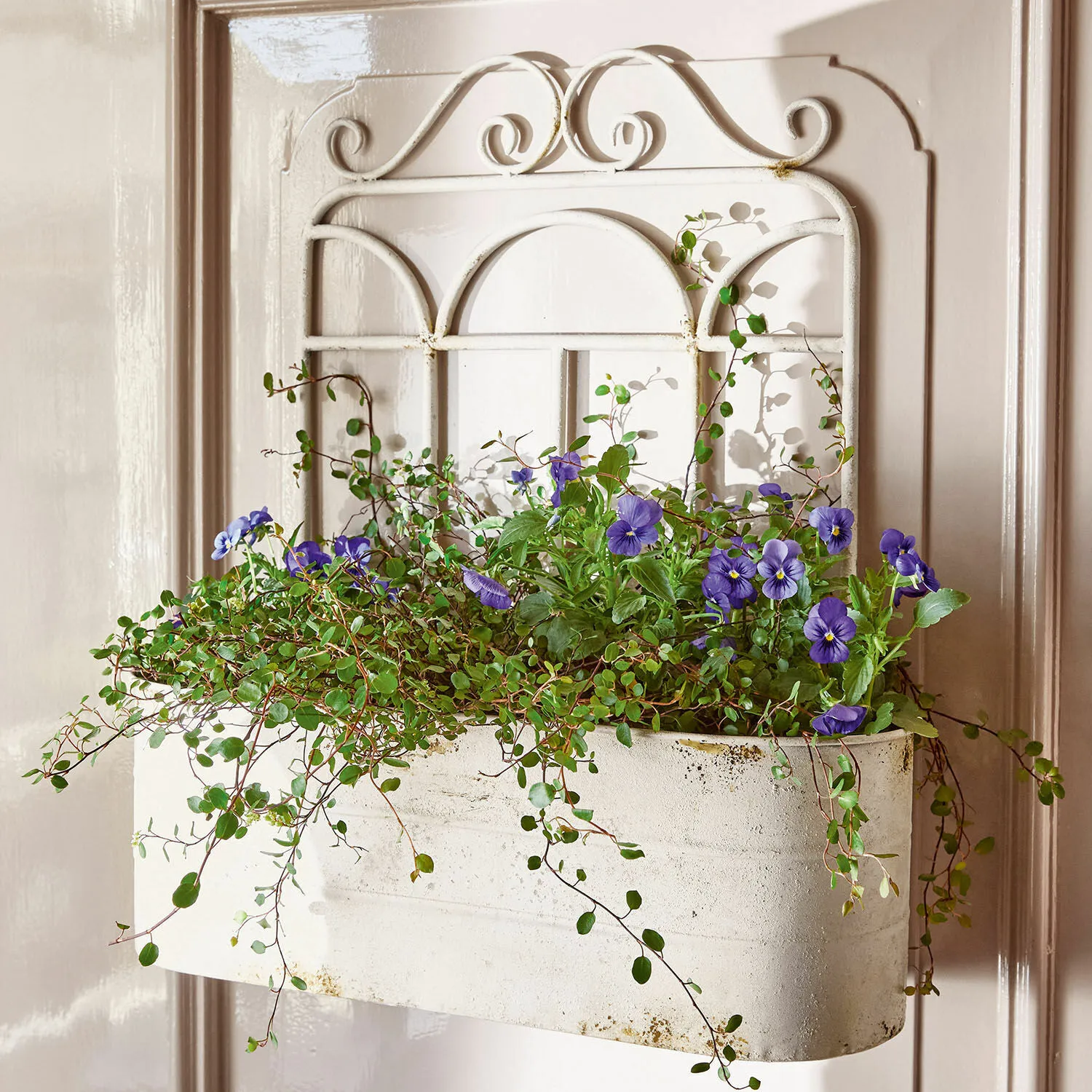 Pflanzkorb Marwin – Bild 4