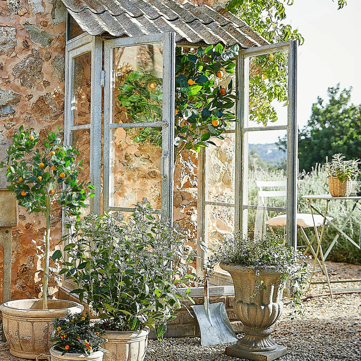 Deko-Pflanze Delbart – Bild 4