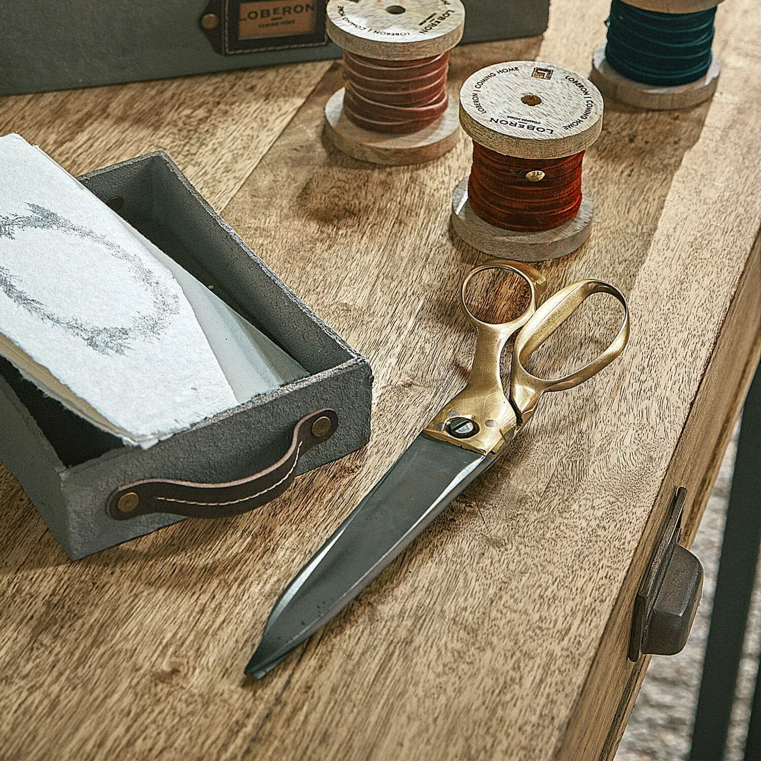 Schere Leon – Bild 4