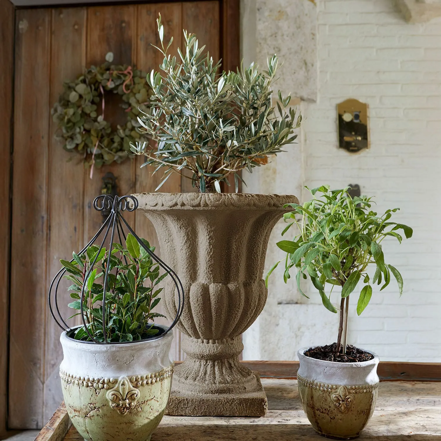 Übertopf Lachamp – Bild 4