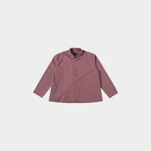 Tulpe Agnese Tulpe Agnese