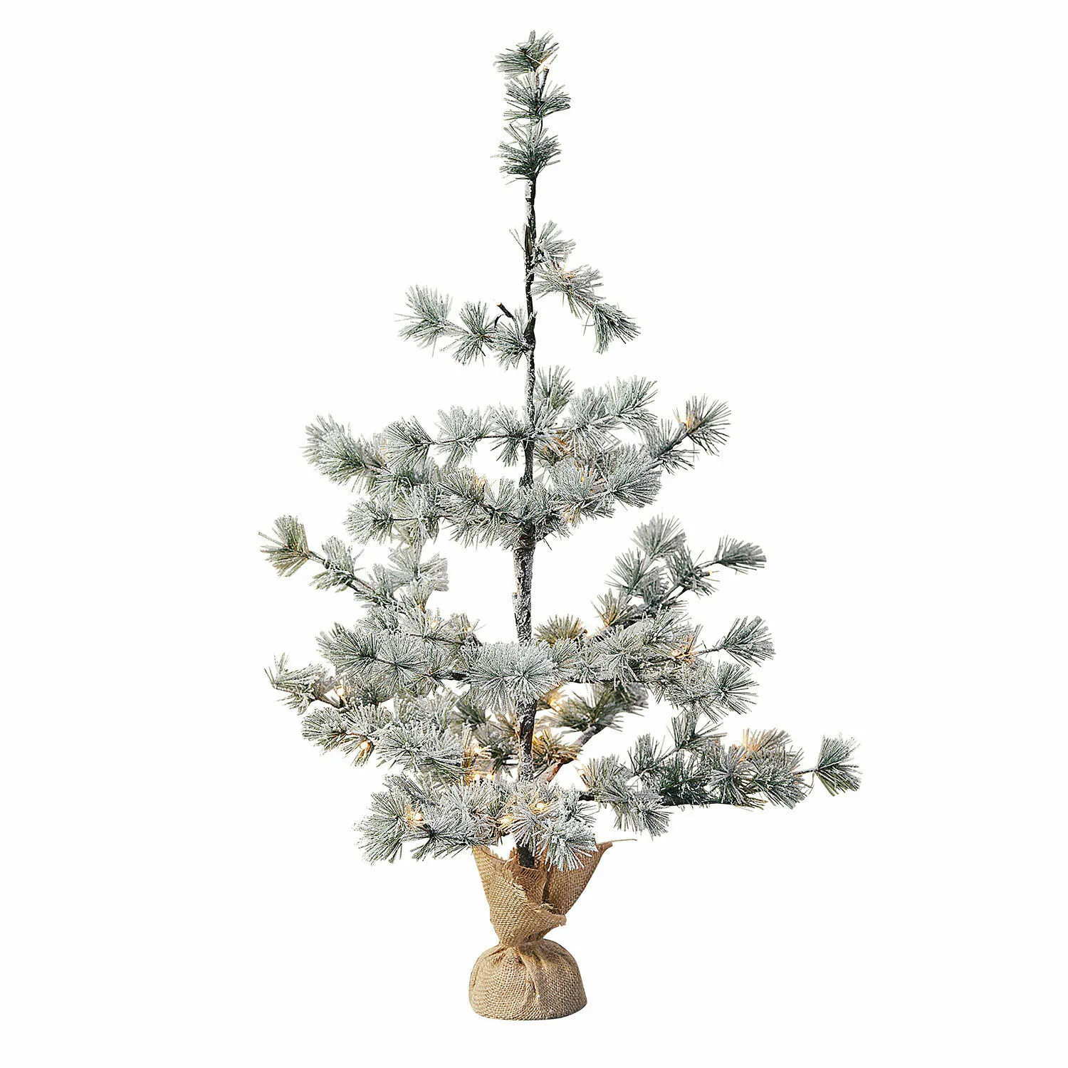 Weihnachtsbaum Falkirk – Bild 3