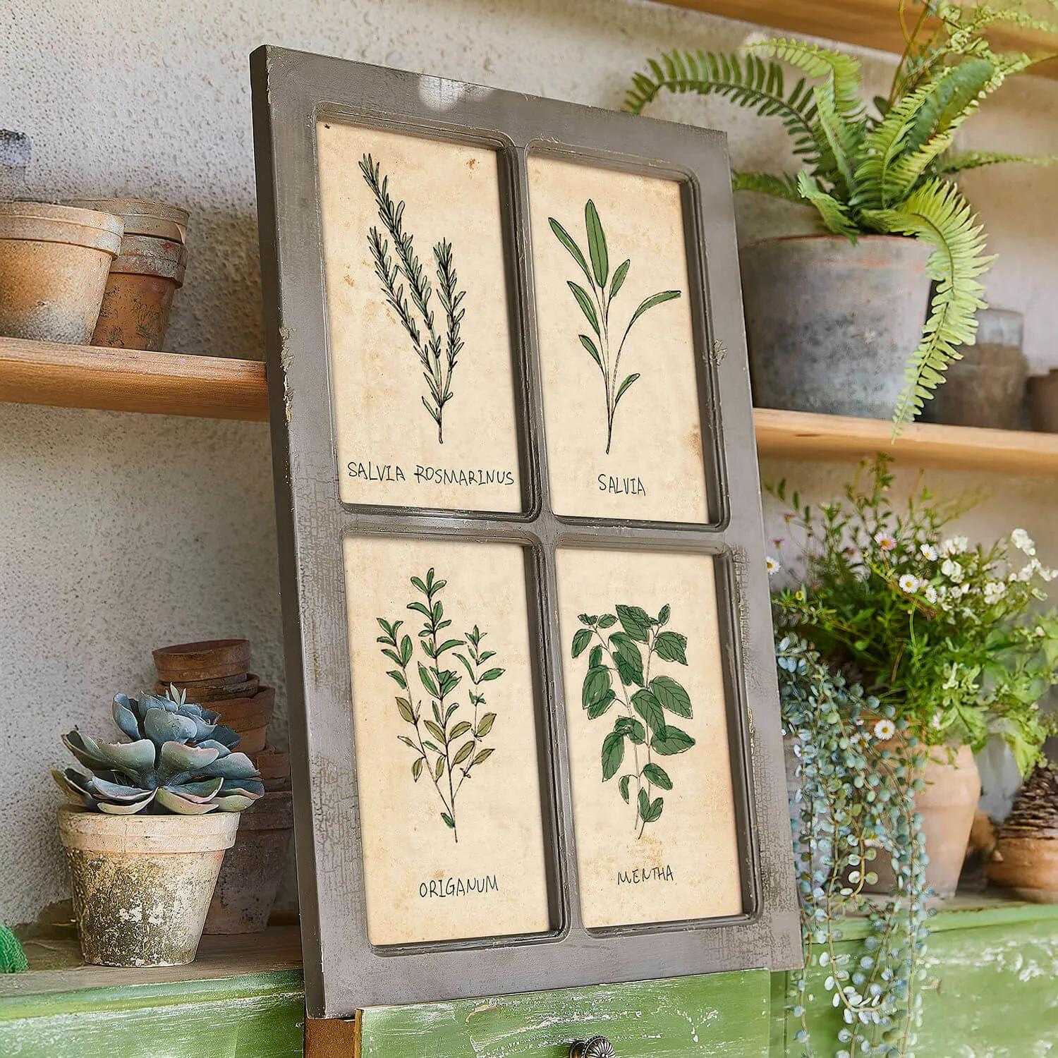 Bild Beaurive Bild Beaurive