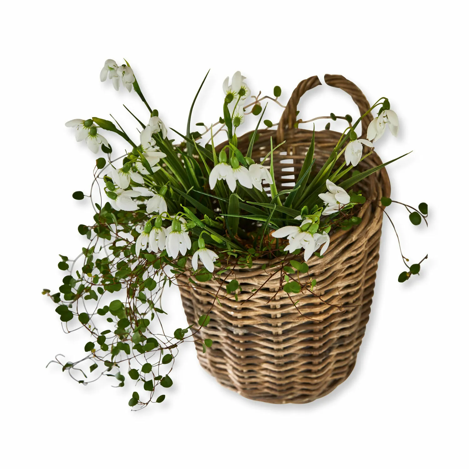 Korb Korovu – Bild 3