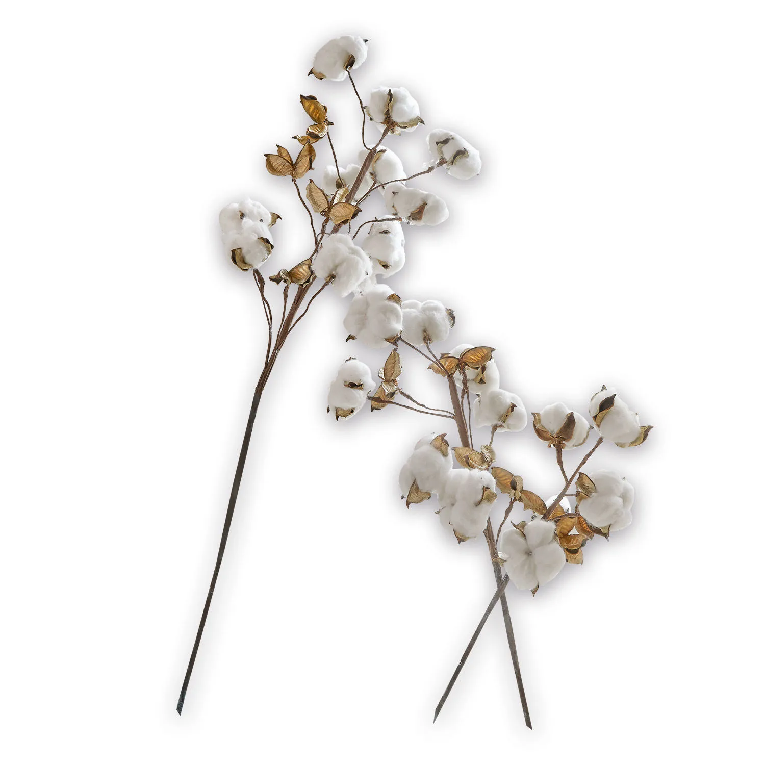 Zweig 3er Set Sauves – Bild 3