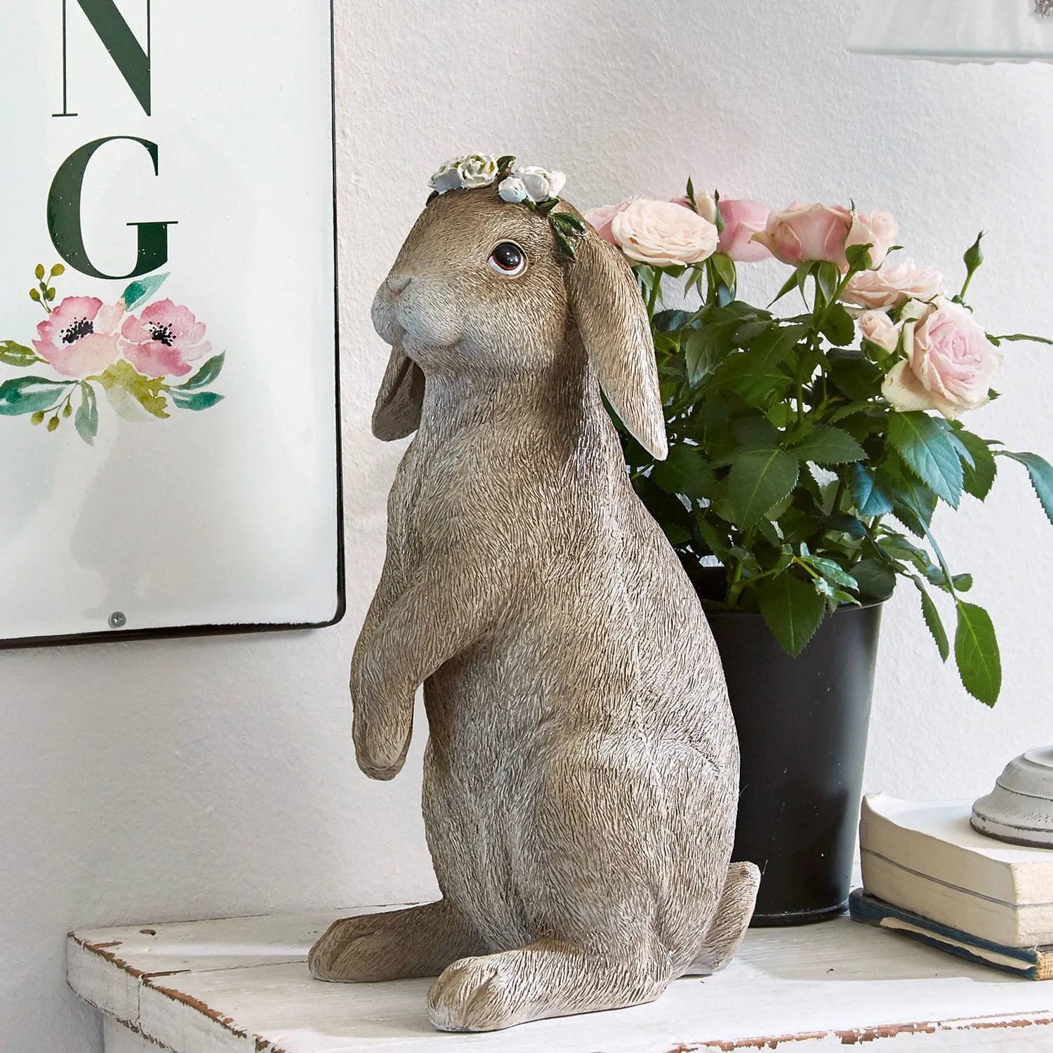 Hase Sweety – Bild 2