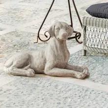 Hund Socrate Hund Socrate