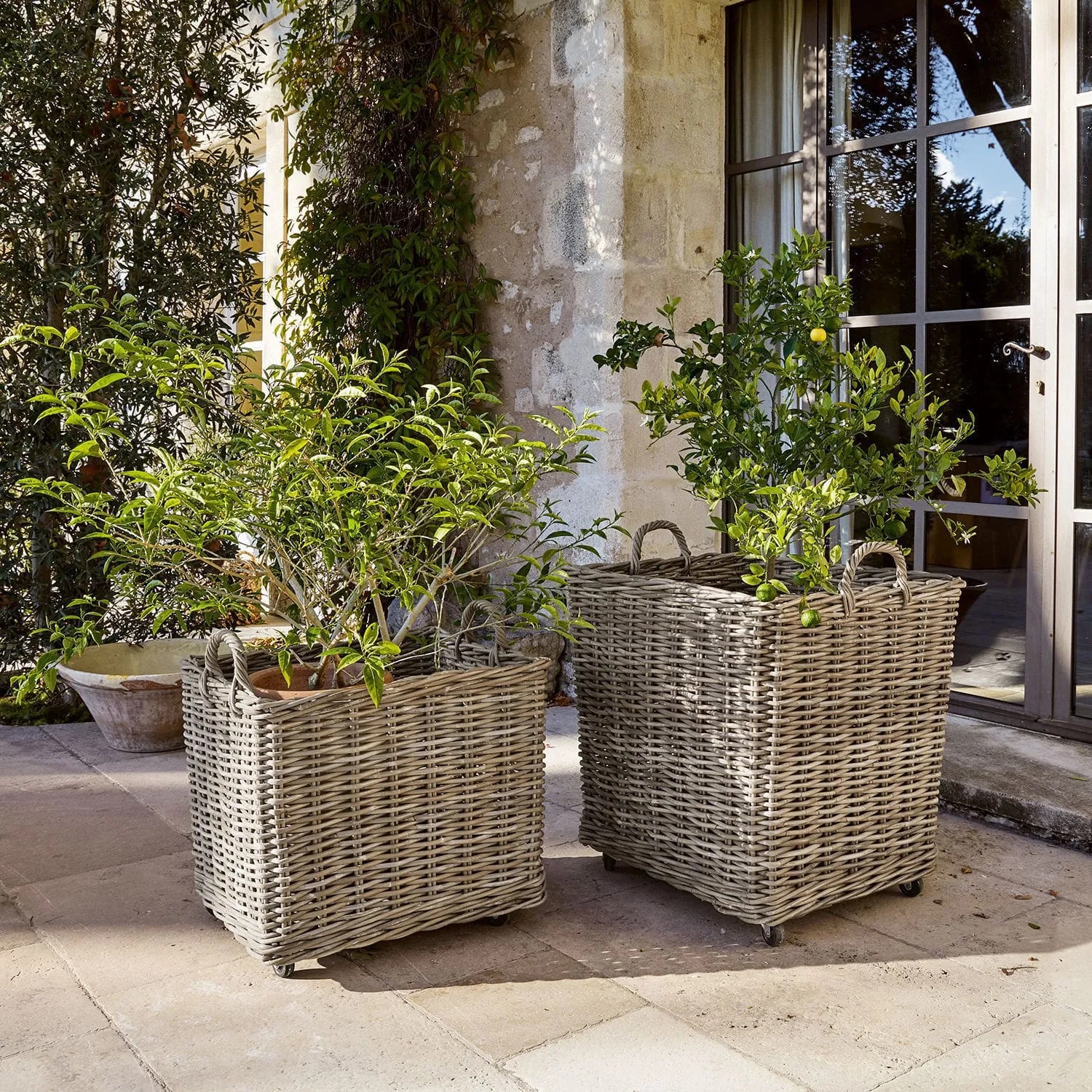 Pflanzkorb 2er Set Gialousa – Bild 5