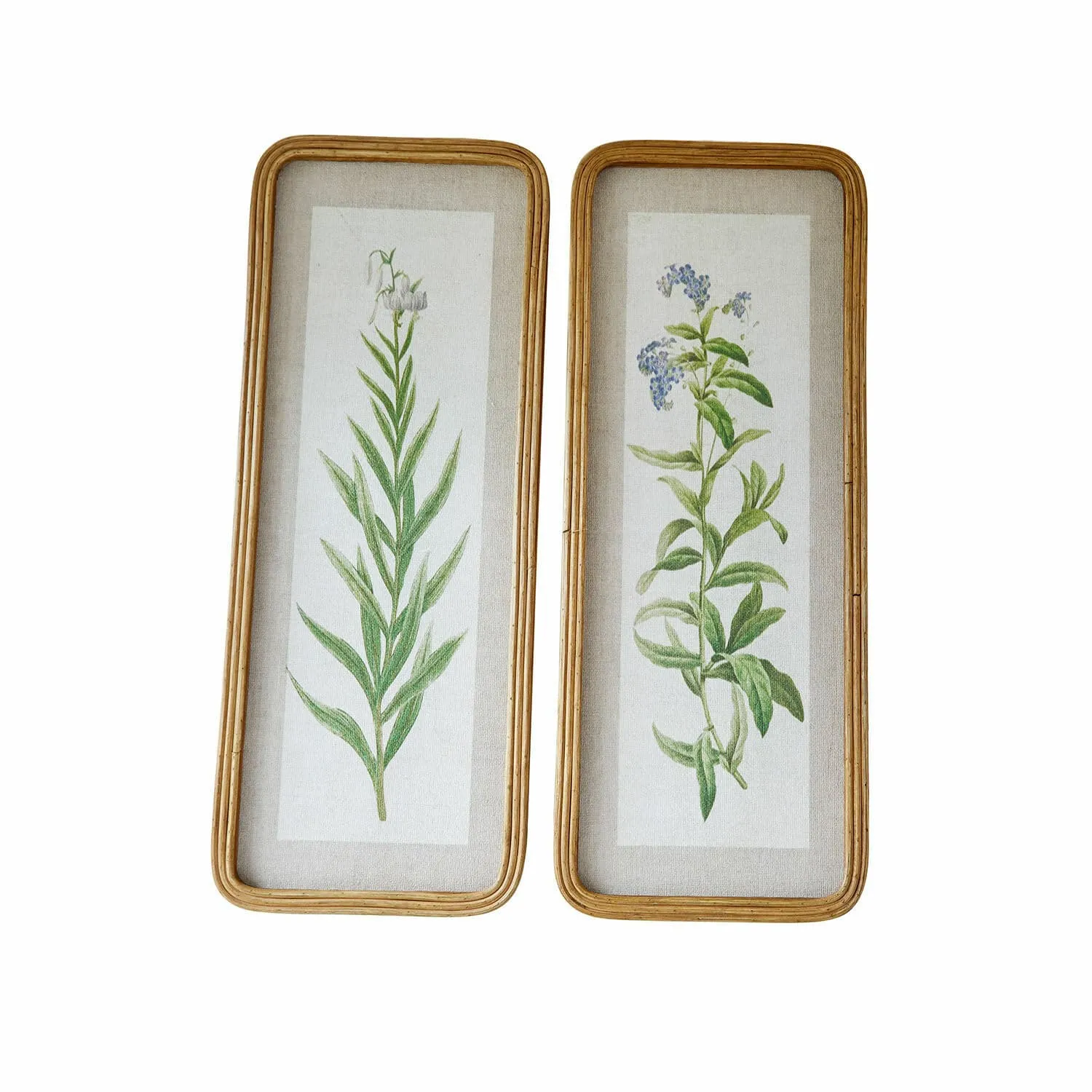 Bild 2er Set Cenori – Bild 3