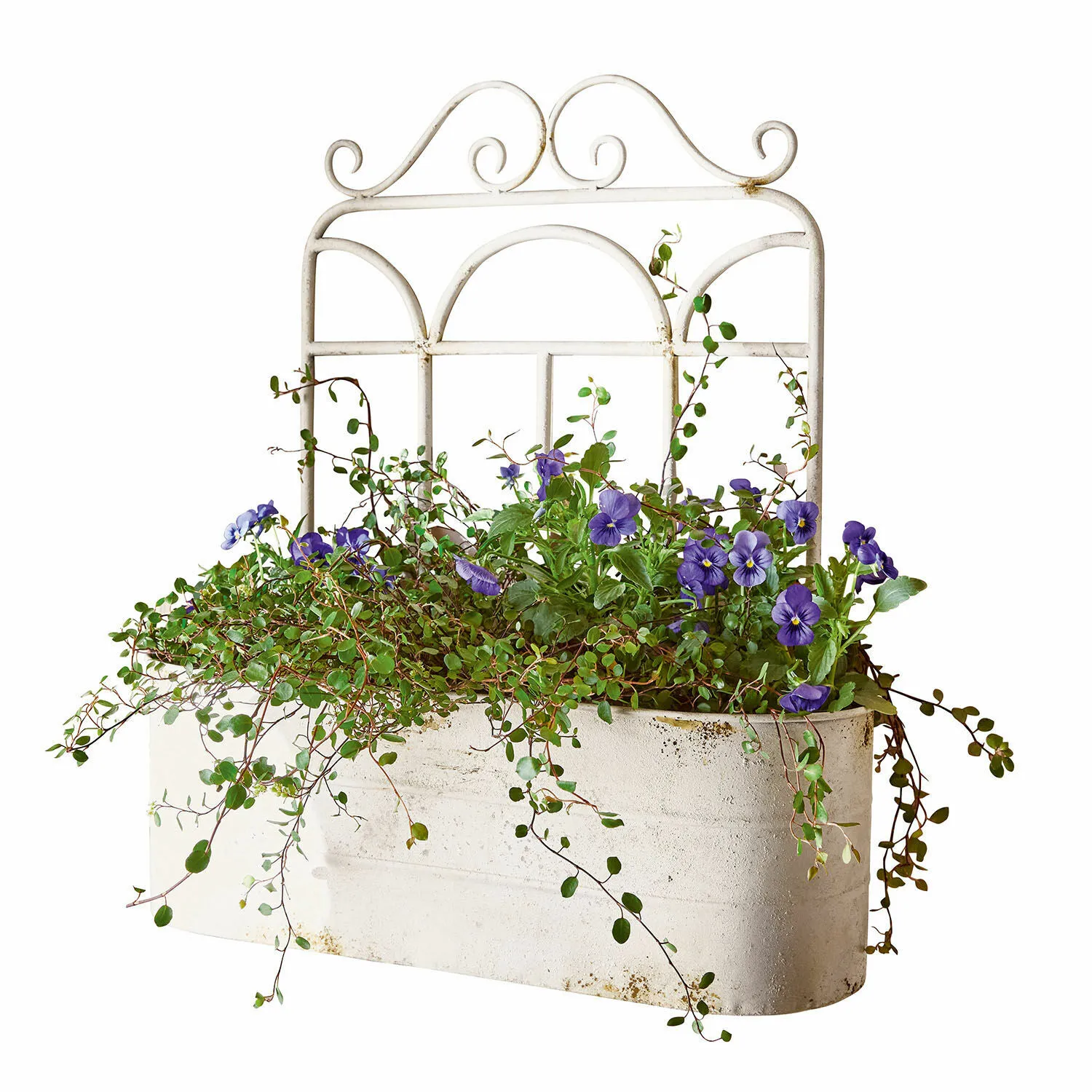 Pflanzkorb Marwin – Bild 3