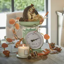 Küchenwaage Dorianza Küchenwaage Dorianza