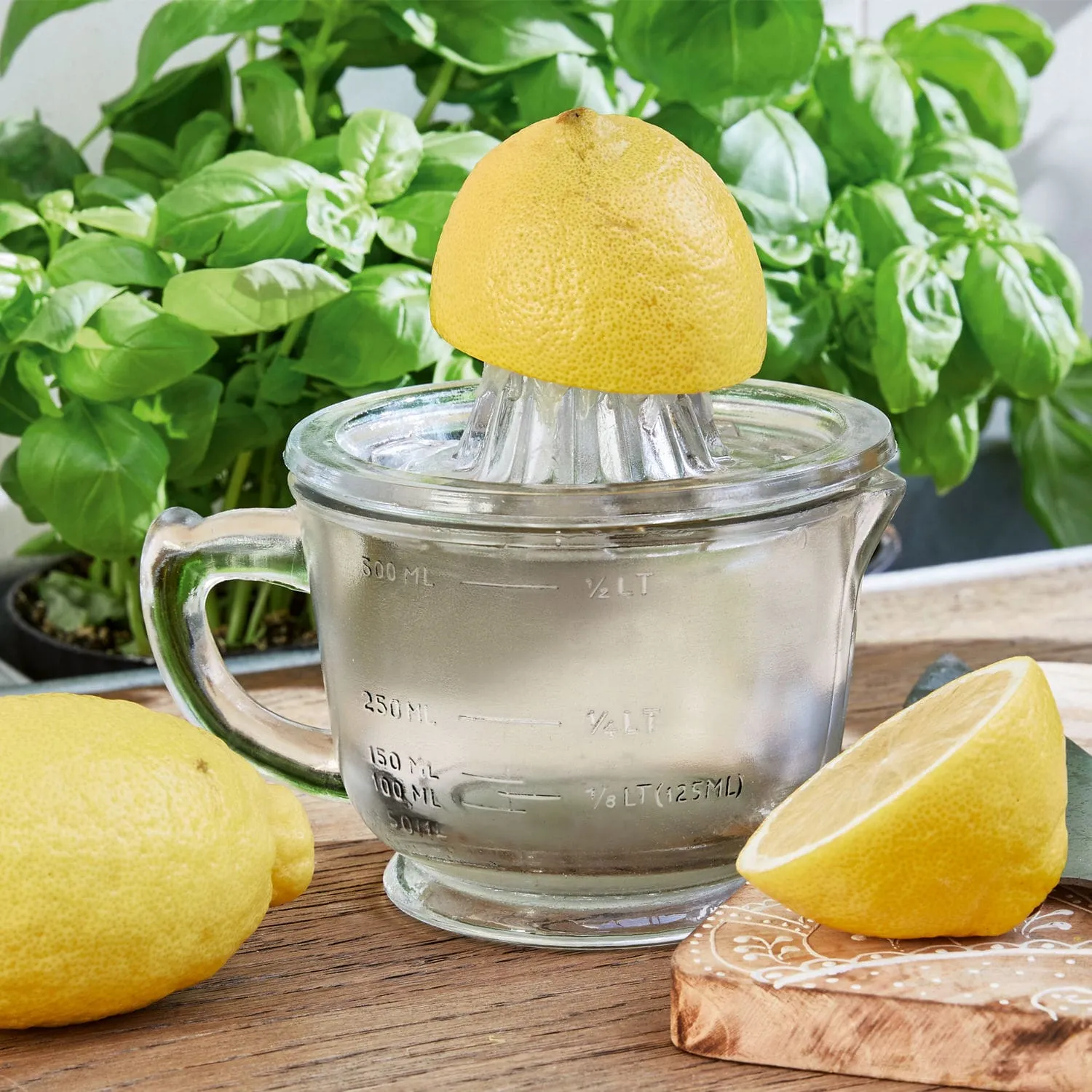 Zitronenpresse Cindy – Bild 2