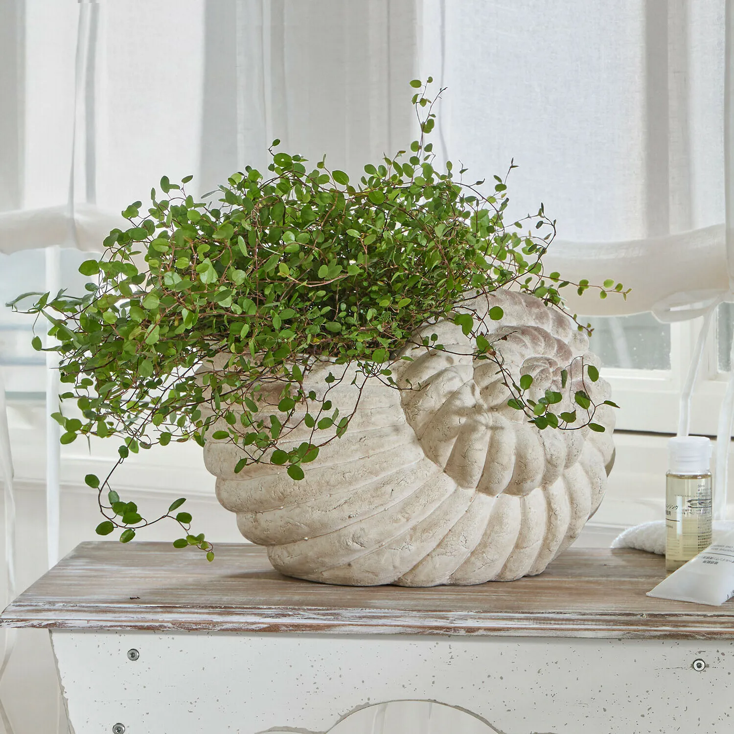 Übertopf Wavigny – Bild 2