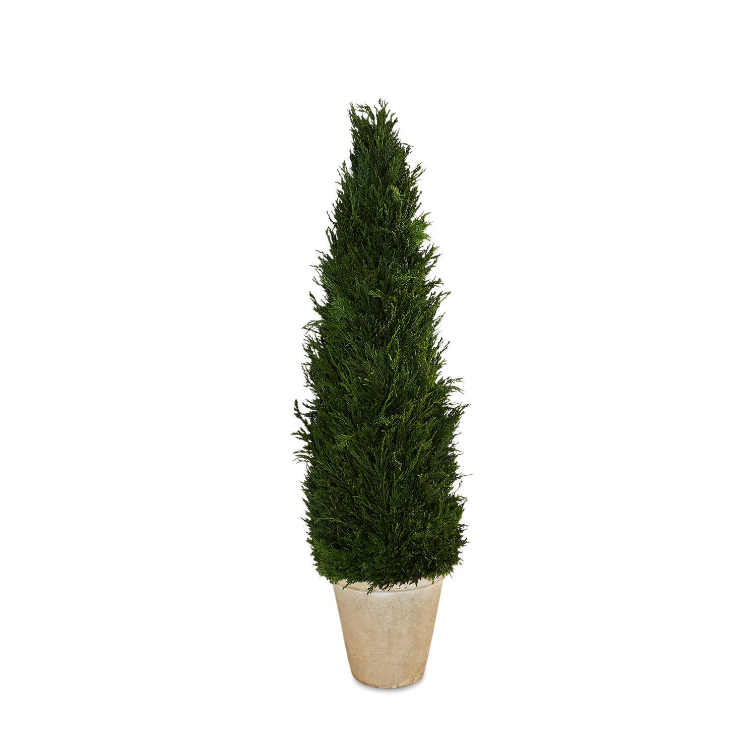 Deko-Topfpflanze Arras – Bild 3