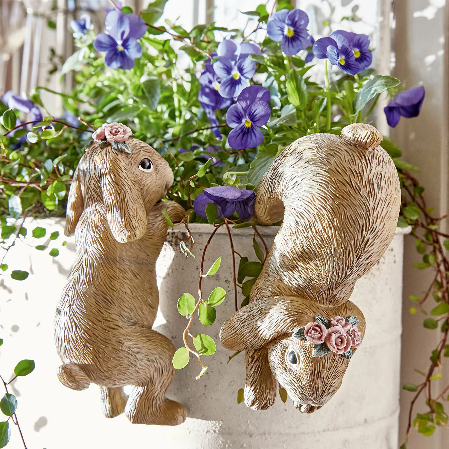 Hase 2er Set Burt – Bild 4