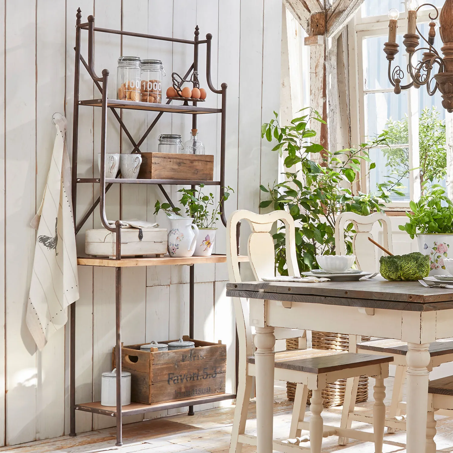 Regal Newton – Bild 2