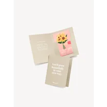 Sonnenblumen-Saat Sonnige Grüße Sonnenblumen-Saat Sonnige Grüße