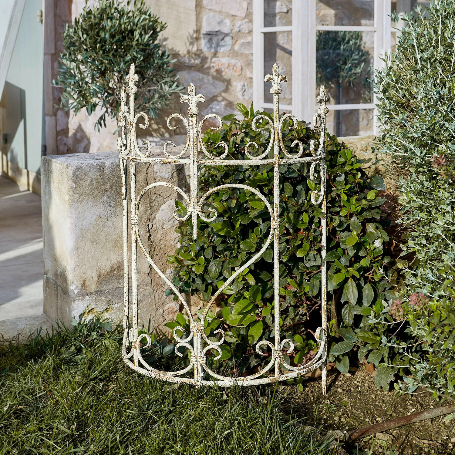 Rankgitter Bramwell – Bild 2