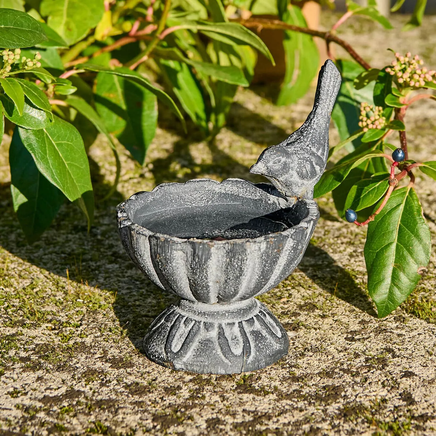 Vogeltränke Méravon Vogeltränke Méravon