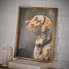 Bild Purrana Bild Purrana