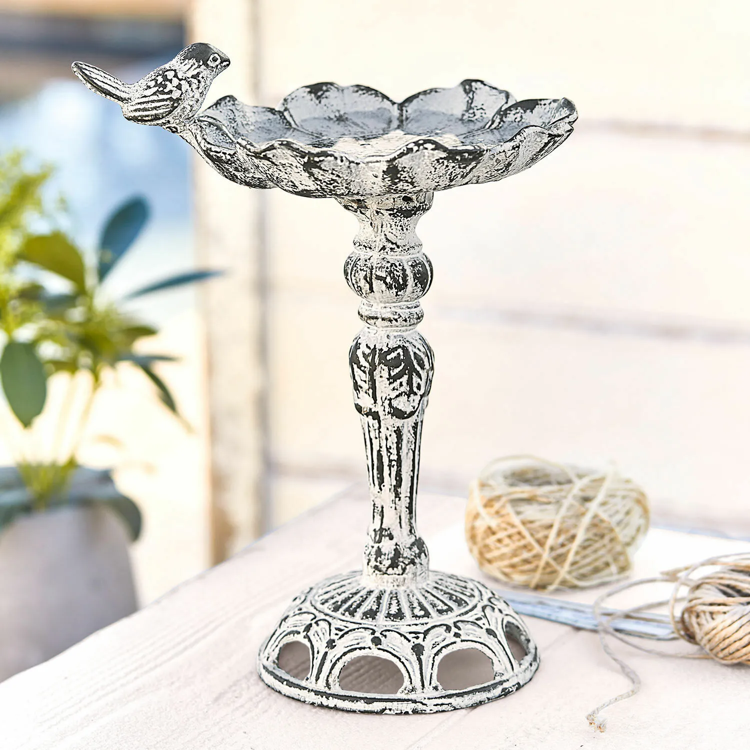 Vogeltränke Petrofani Vogeltränke Petrofani