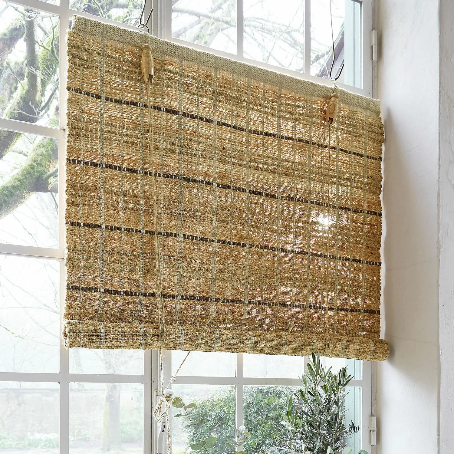 Rollo Nacarie – Bild 2