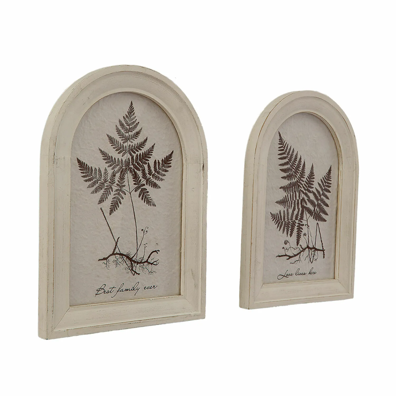 Bild 2er Set Movirex – Bild 3