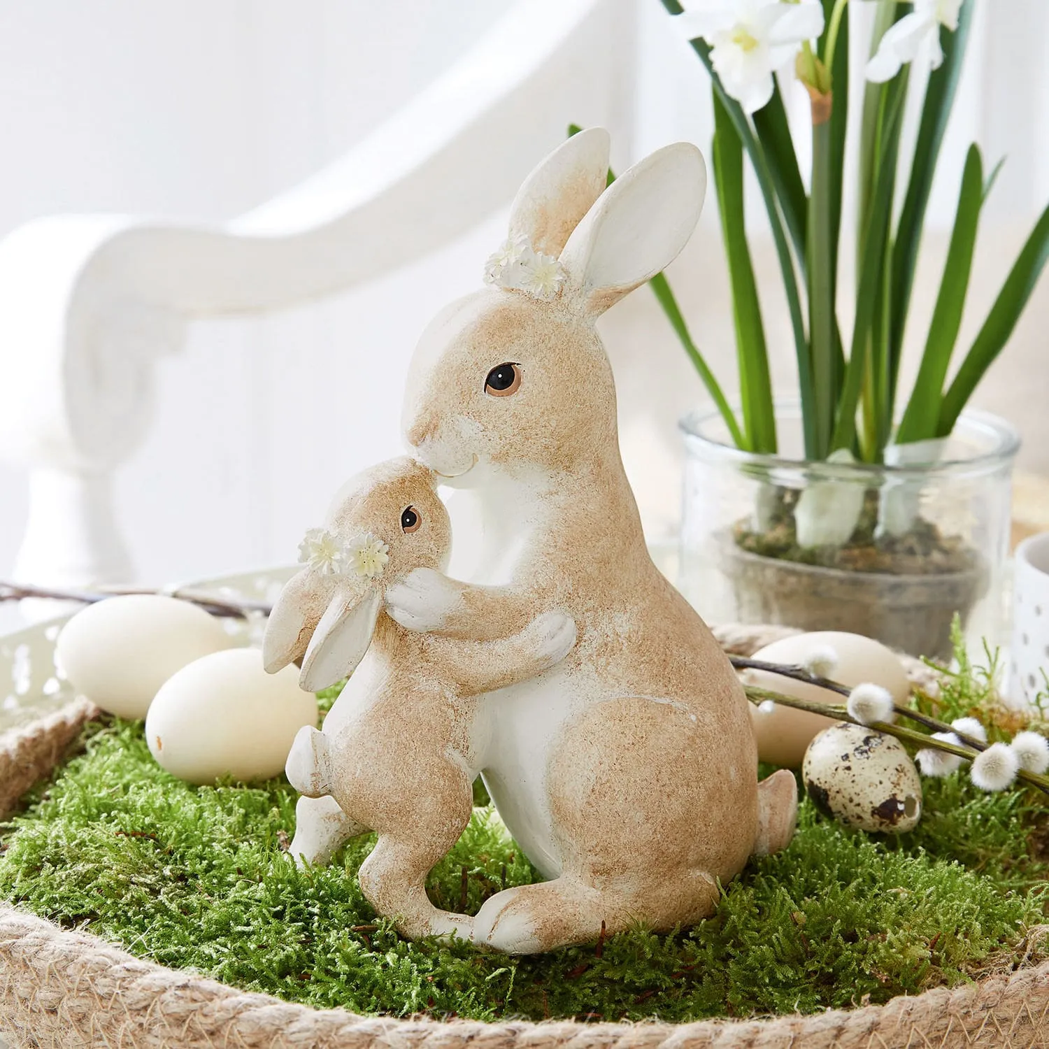 Hasen Aliena – Bild 2