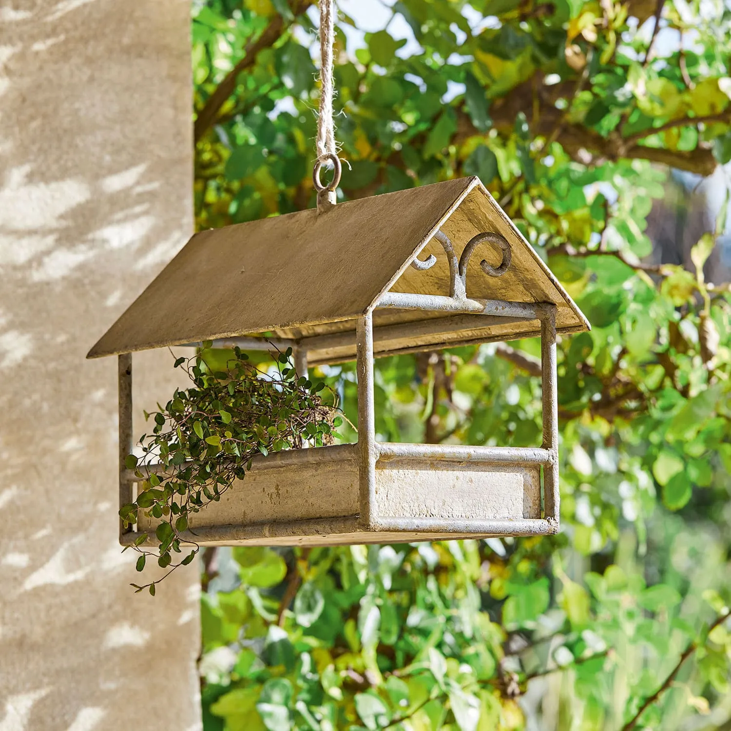 Vogelhaus Rantolla – Bild 2