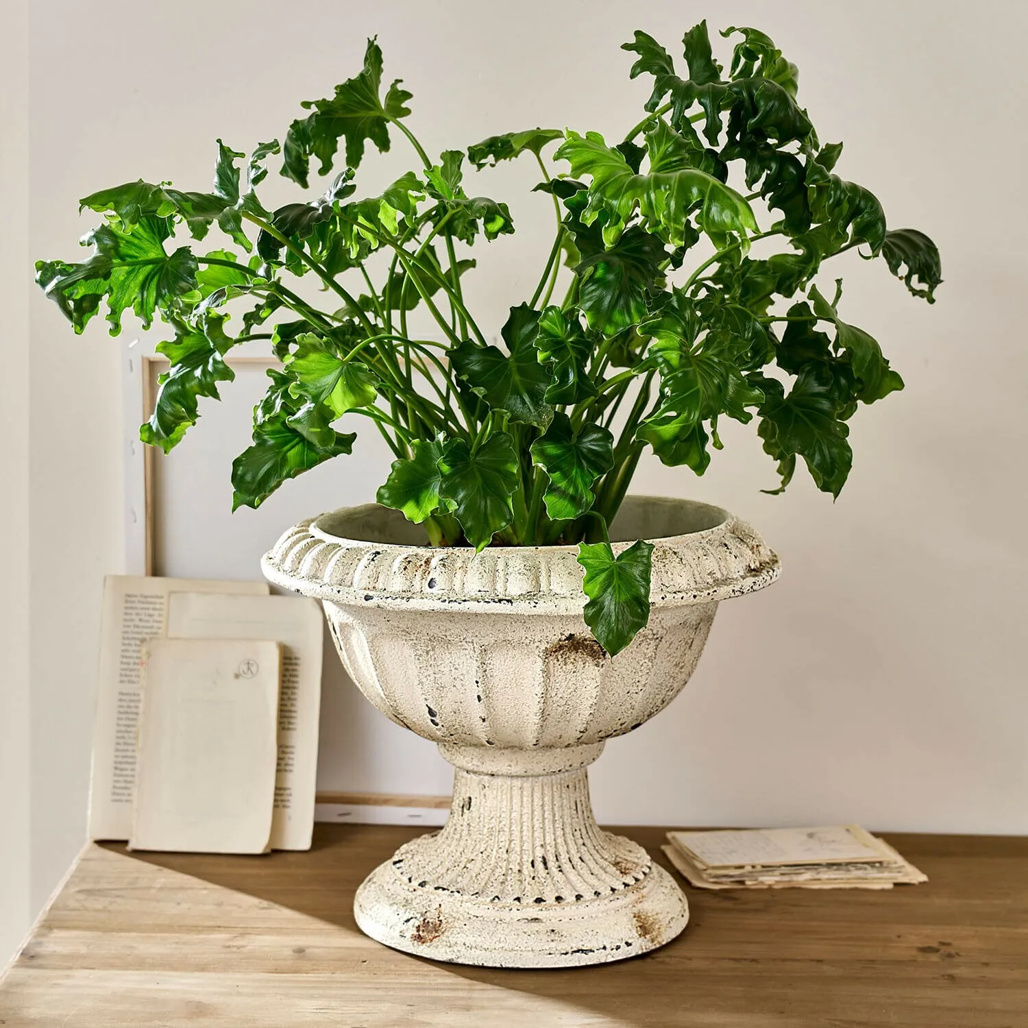 Amphore Islene – Bild 2