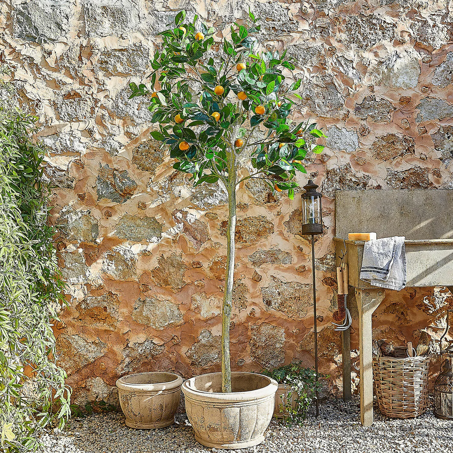 Deko-Pflanze Delbart – Bild 2