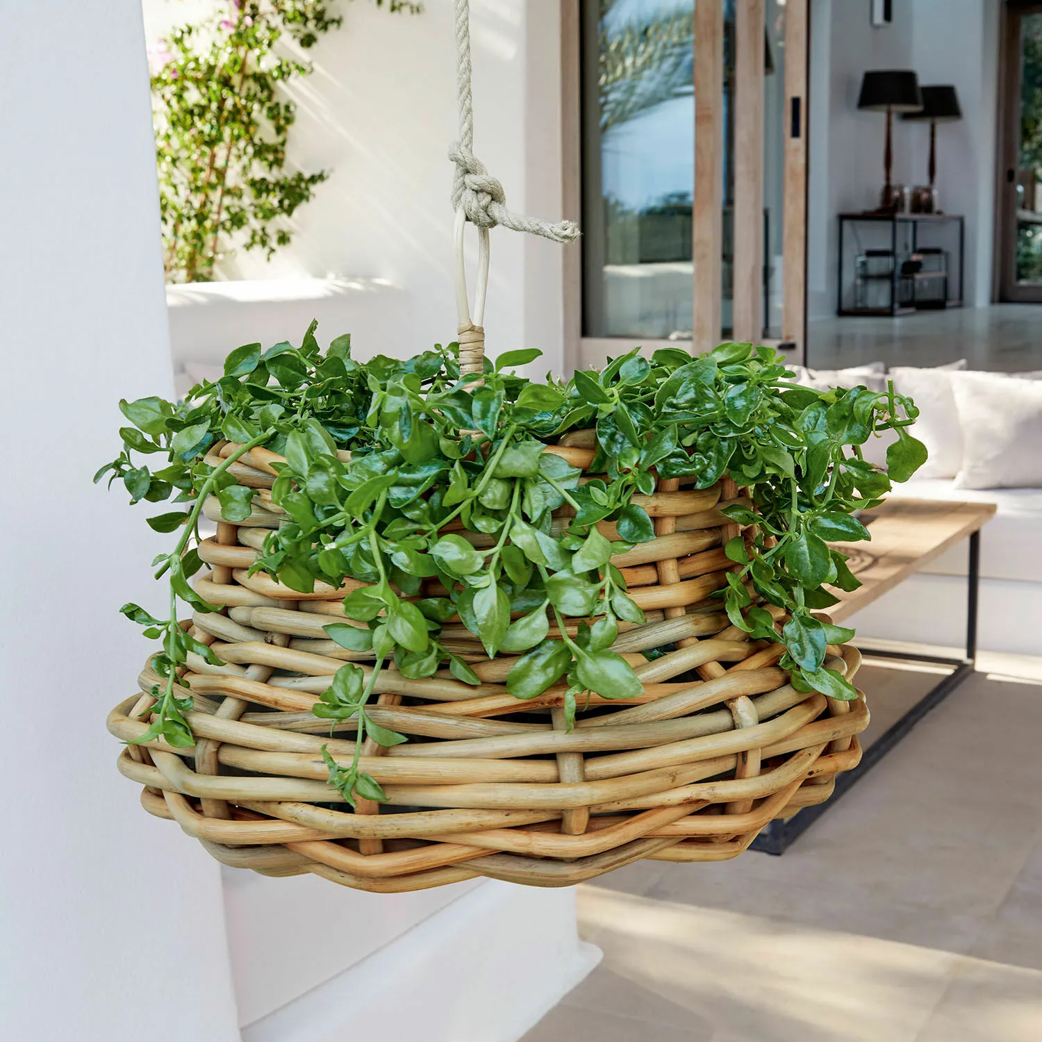 Hängekorb Villaz – Bild 4