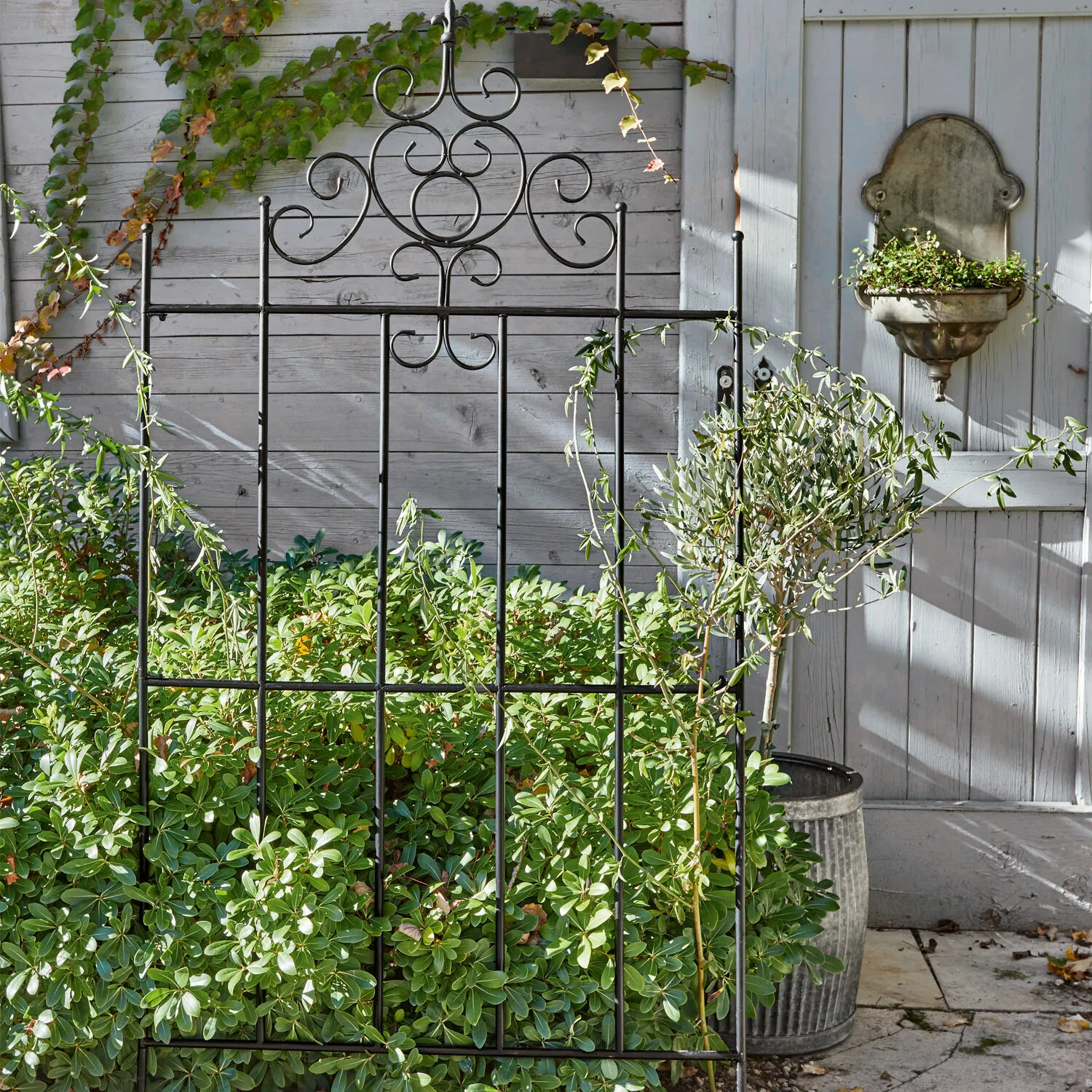 Rankgitter Sampigny – Bild 4