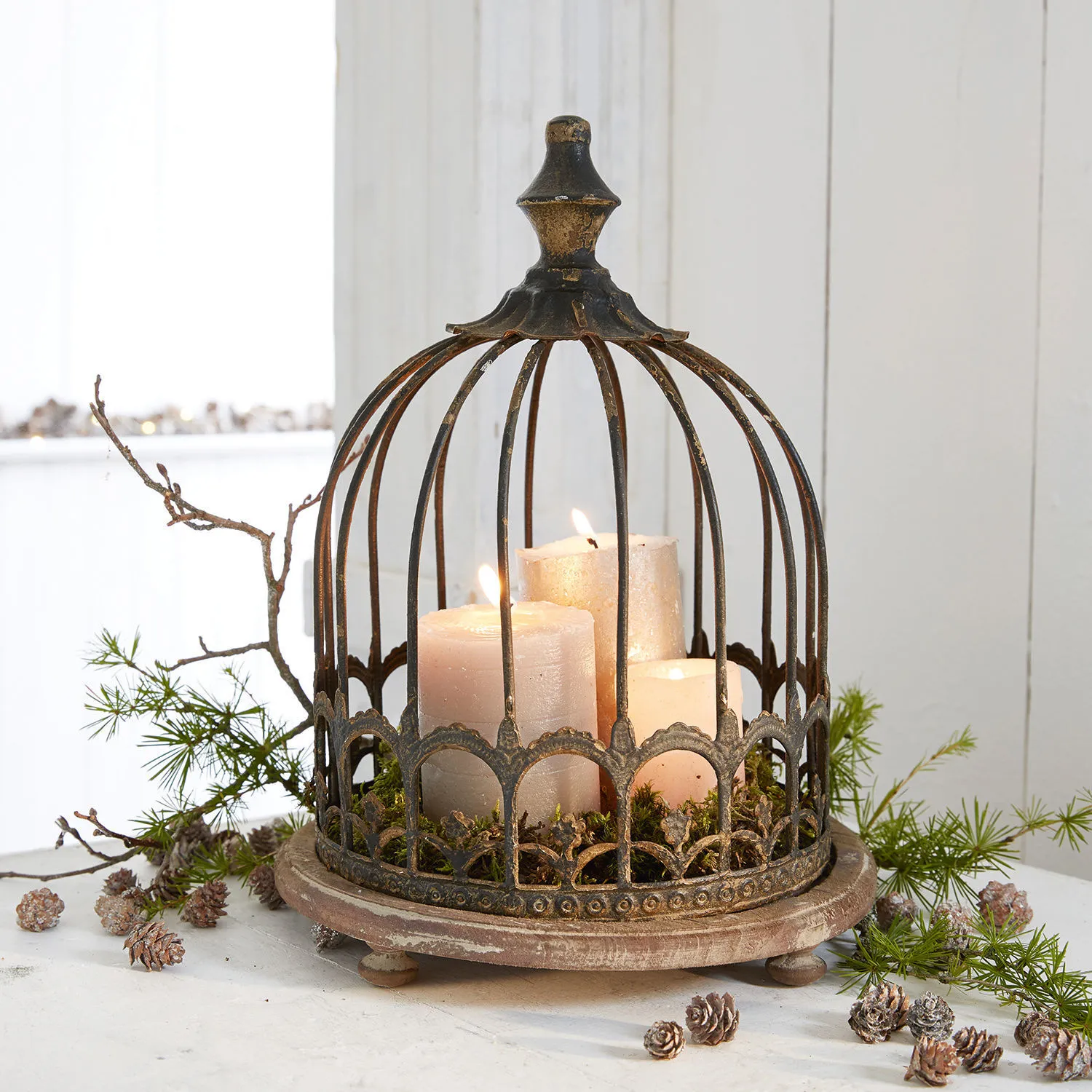 Voliere Saliers – Bild 2