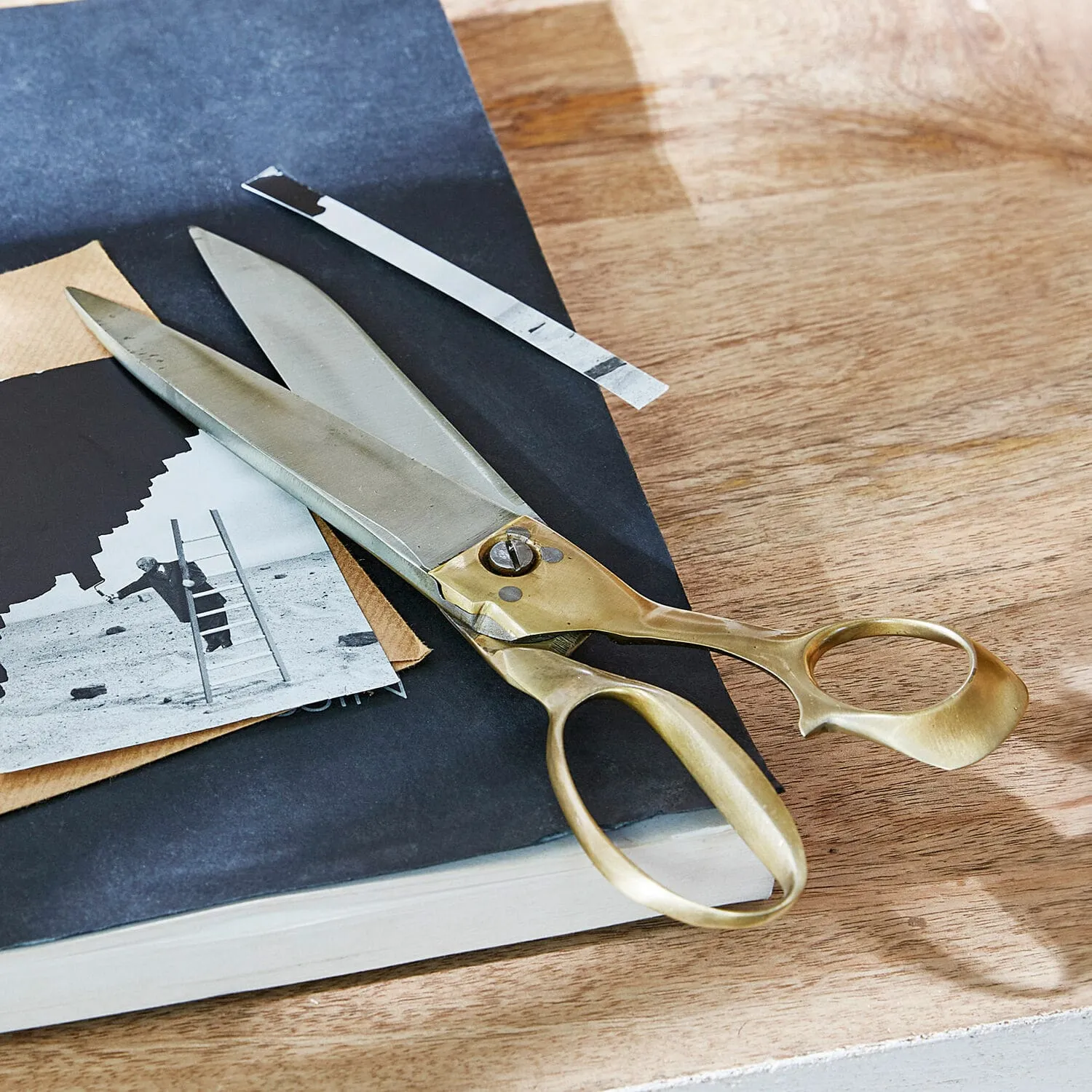 Schere Leon – Bild 2