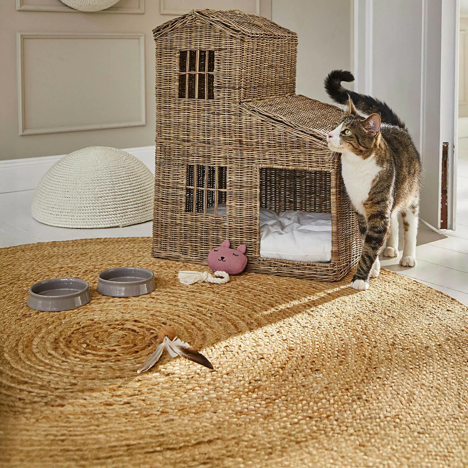 Spielzeug für Haustiere Miezmo – Bild 4