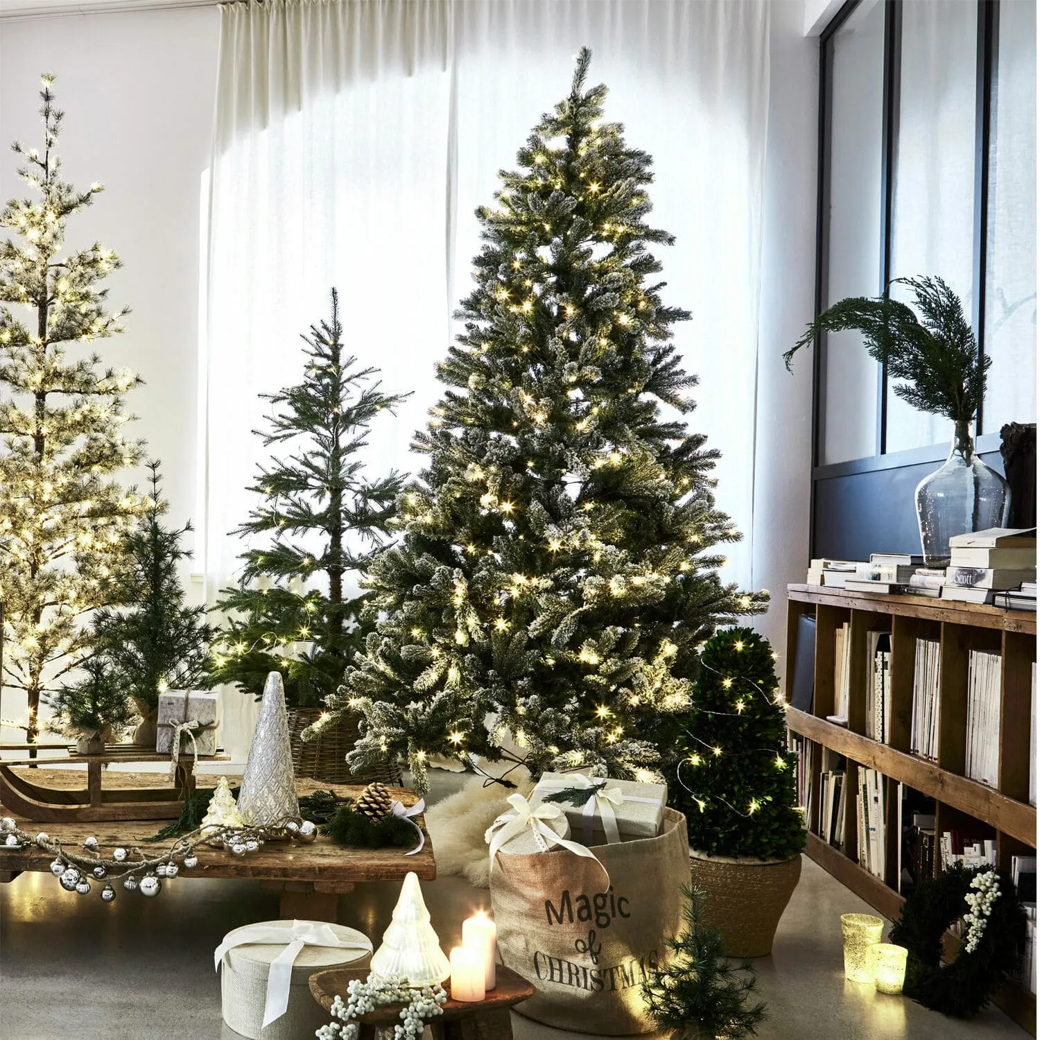 Weihnachtsbaum Mannier – Bild 4