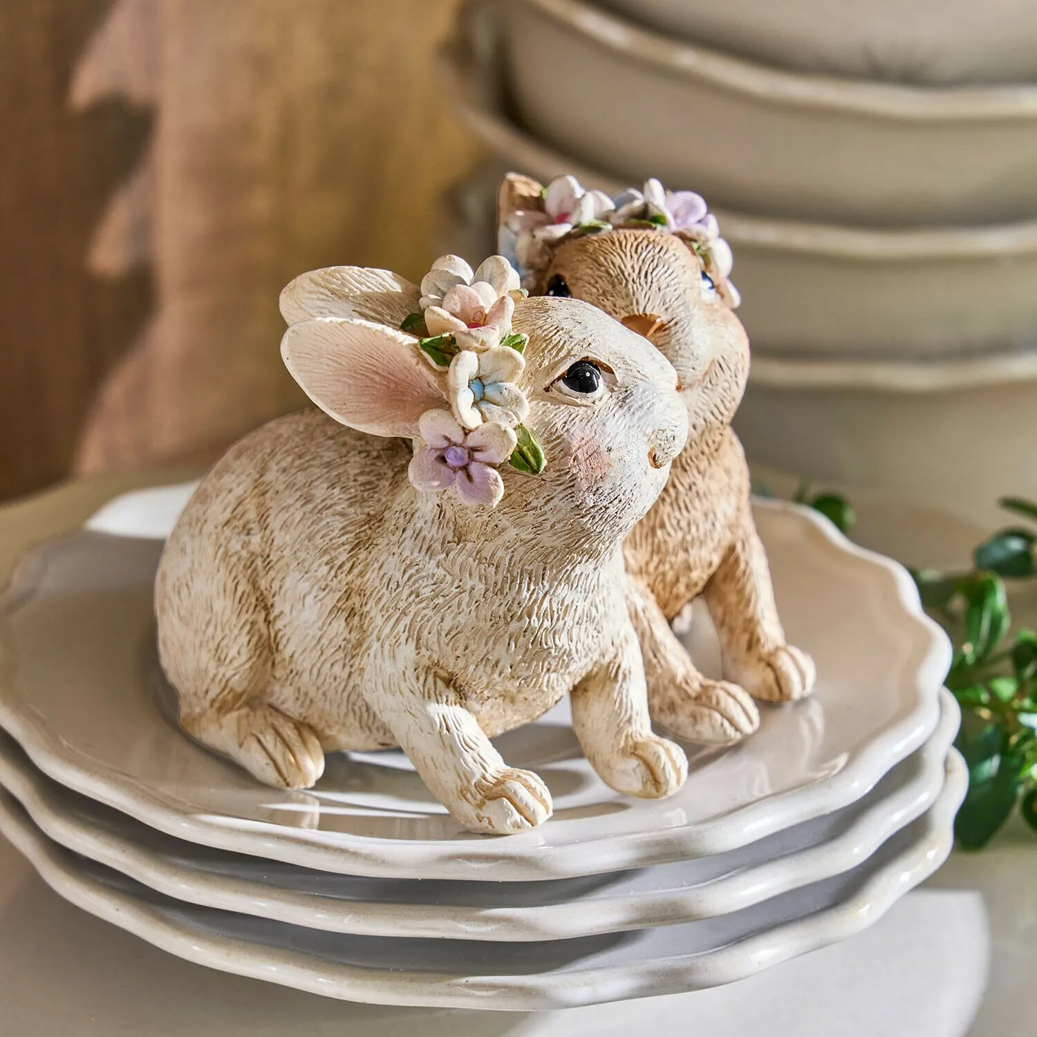 Hasen Willowmare – Bild 4