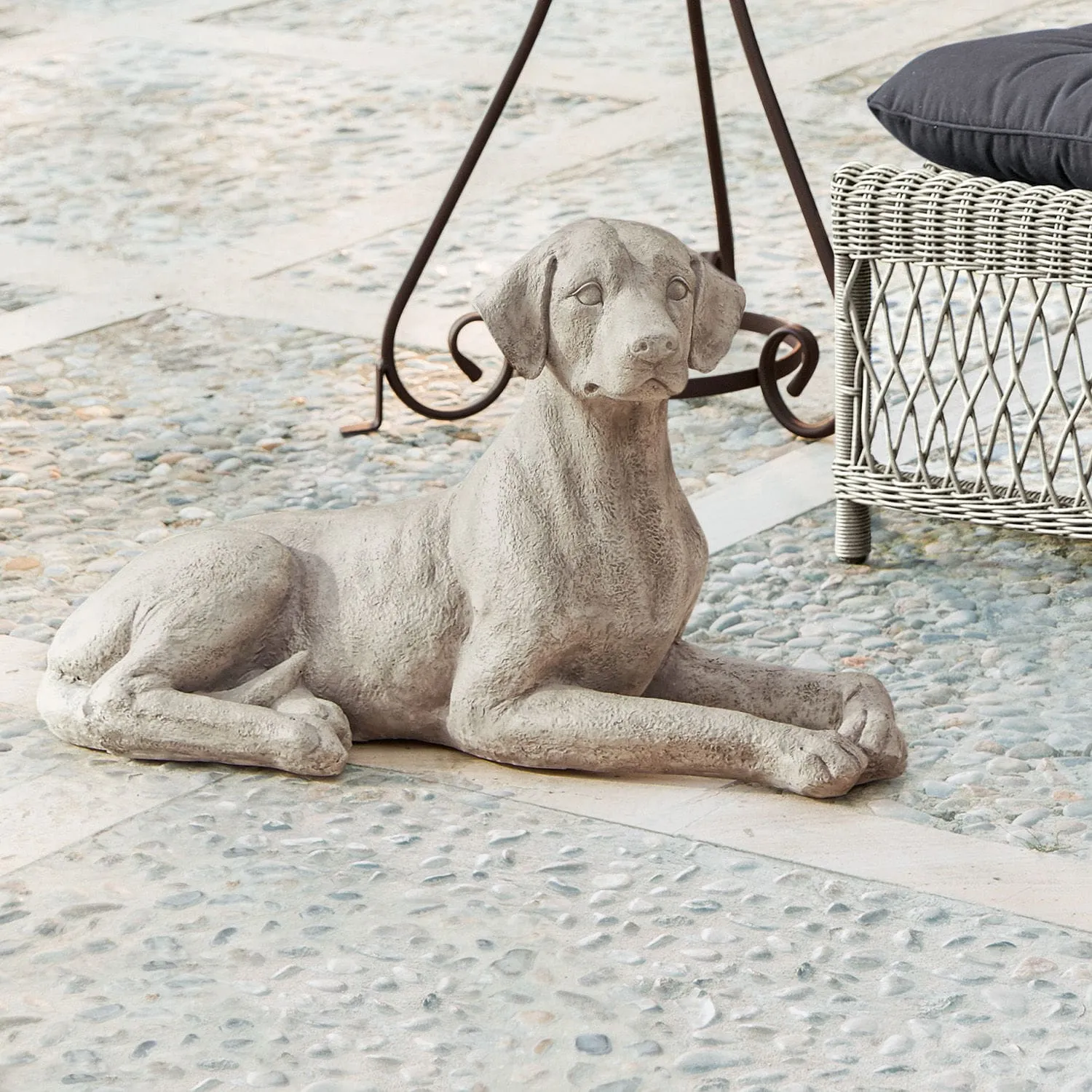 Hund Socrate – Bild 2