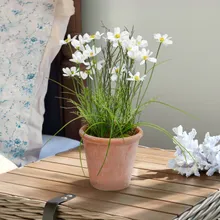 Deko-Topfpflanze Harmoise Deko-Topfpflanze Harmoise