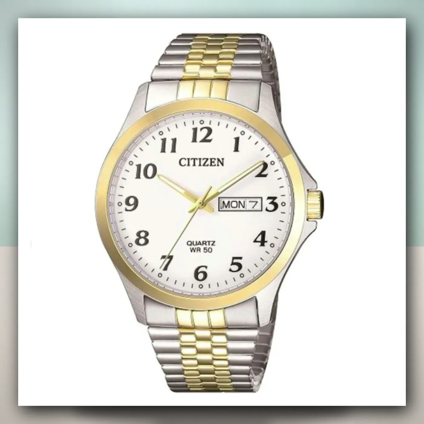 Satovi Citizen Quartz BF5004-93A