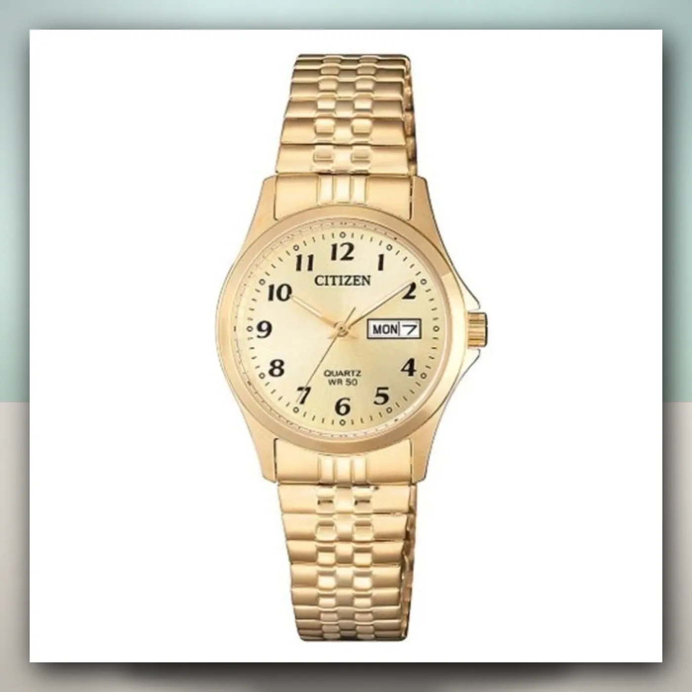 Satovi Citizen Quartz EQ2002-91P